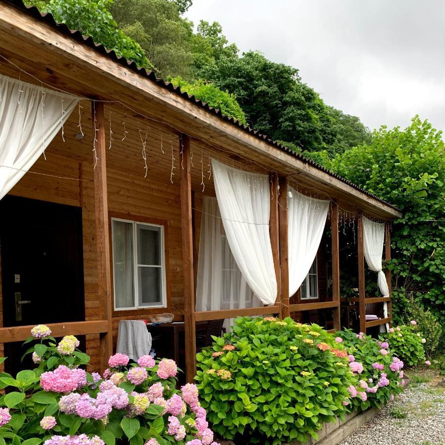 Guest House Ahan Gagry Zewnętrze zdjęcie