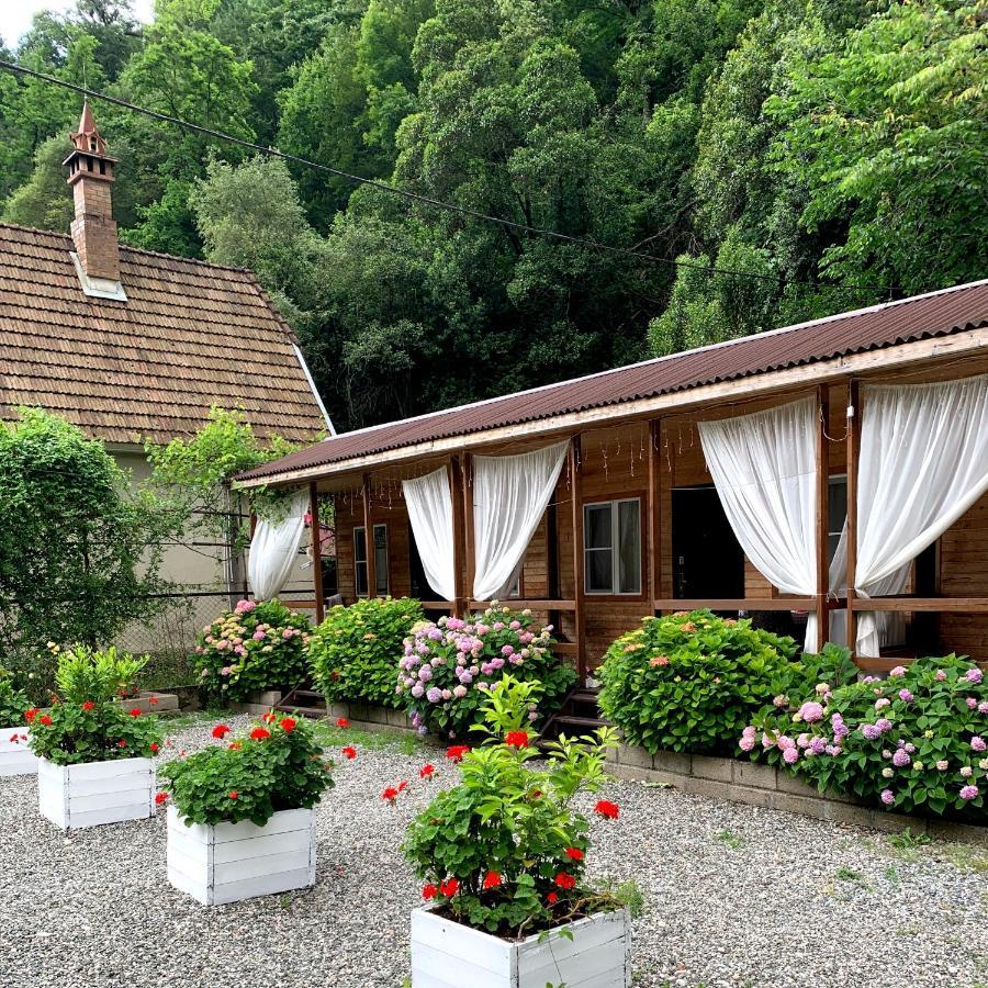 Guest House Ahan Gagry Zewnętrze zdjęcie